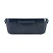 Sagaform Lunchbox Tina 1,1 L Bleu