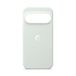 Google PC Back Cover Google Pixel 11 Pro Lichtgroen