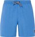 Protest DAVEY Men's Swim Shorts - Size L - Gladio Blue