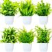 Ibenzoa® Set van 6 Mini Kunstplanten met Realistische Bloempotten voor Binnenhuisdecoratie