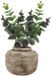 Bellatio Design Branche Eucalyptus Bella - 2 pièces - 38 cm - Vert foncé