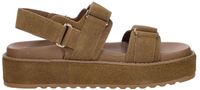 Steve Madden Bigmona Platte Sandalen Cognac Maat 41