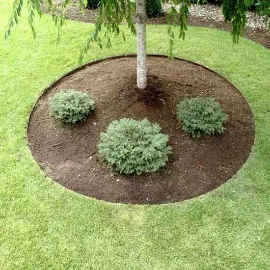 ECO 5 m x 25 cm tuin afboording