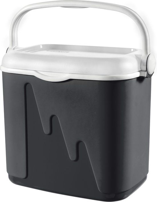 Curver Koelbox - 32L - Antraciet