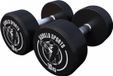 Gorilla Sports Set d'haltères 20 kg (2 x 10 kg) Fonte
