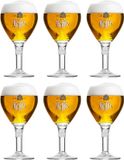 Leffe Bierglazen 250 ml - Set van 6