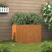 Prolenta Maison Exclusive - Jardinière en acier Corten, dimensions 62x47x46 cm