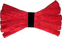 Amerikaanse Kentucky Amerikaanse dweilmop – microvezel, 250 g, rood