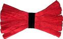 Amerikaanse Kentucky Amerikaanse dweilmop – microvezel, 250 g, rood