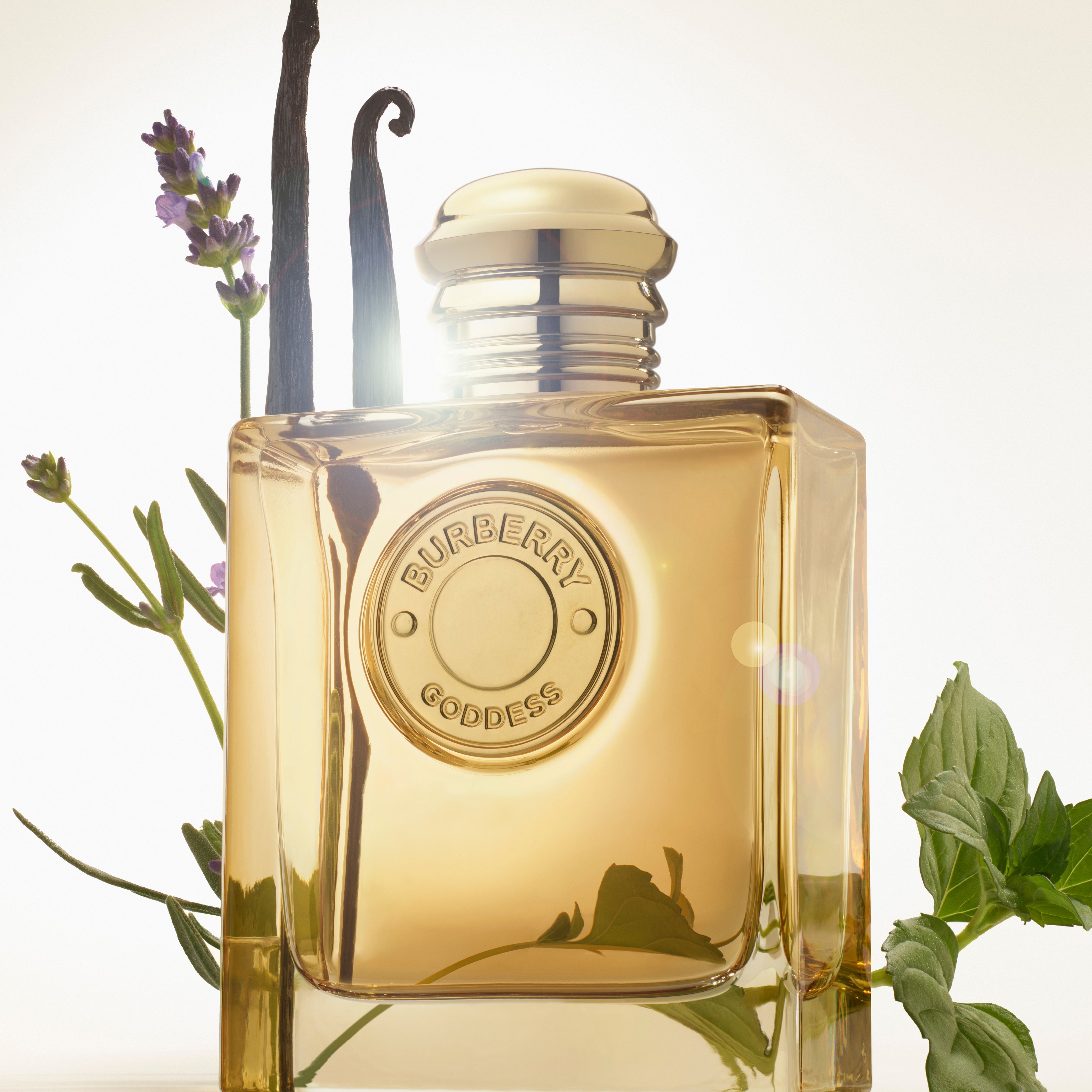 Burberry Eau de Parfum / 100 (ml) / Women