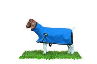 Weaver Leather Livestock ProCool netdeken met reflecterende biezen, maat XL, blauw