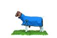 Weaver Leather Livestock ProCool netdeken met reflecterende biezen, maat XL, blauw