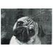 Mint Rugs 102844_50x70 Statement Mat Pug, kunstvezel, zwart/grijs, 70 x 50 x 0,7 cm