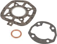 Polini Embrayage pour MBK 50/51v Cyclomoteur - Gris