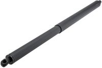 NTY Gasfeder, Koffer-/Laderaum AE-ME-097 hinten rechts