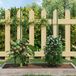 vidaXL Plantenstaken - 30 stuks - 115 cm - Staal - Groen