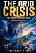 The Global Crisis Investing The Grid Crisis Paperback