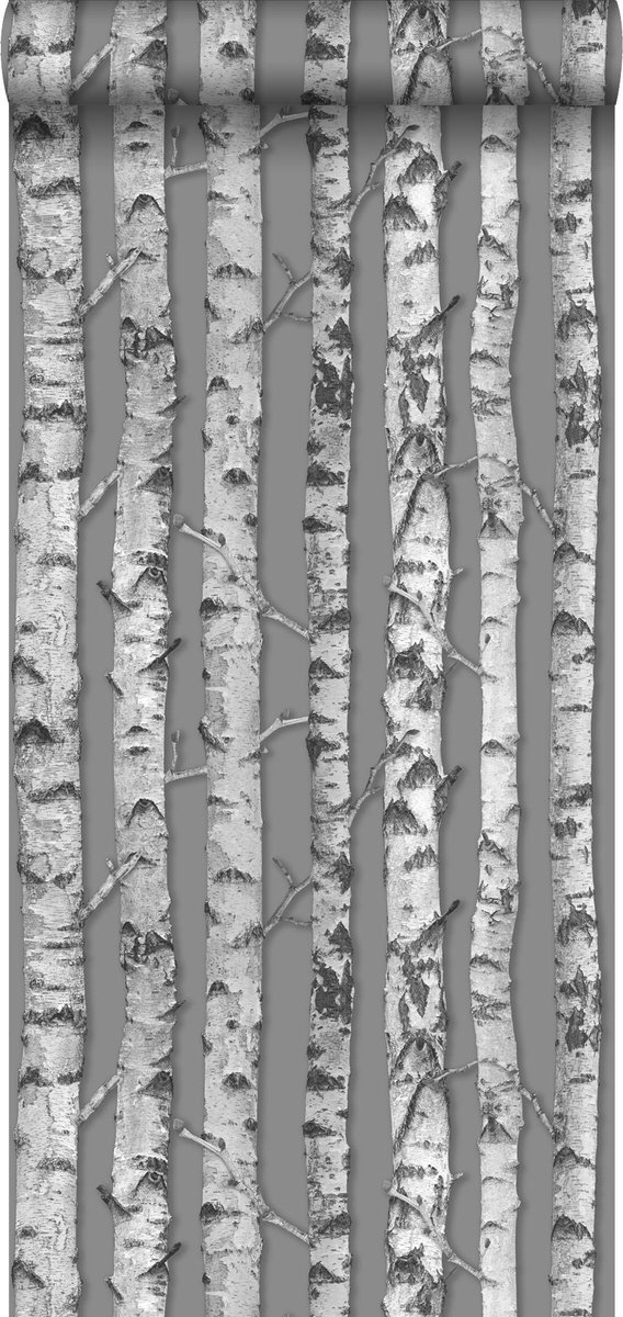 Esta Home behang berken boomstammen taupe grijs en licht warm grijs - 138892 - 53 cm x 10,05 m