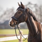 QHP Hoofdstel Skye Zwart Leer Anatomisch Full