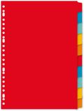 Merkloos / Sans marque Kartonnen tabbladen A4 - 23-gaats - Gekleurd karton - 20 stuks