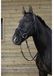 Riding World licol vert Cob