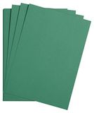 Clairefontaine 975551C Pakket Maya Papier - 25 Vellen Glad Tekenpapier Dennengroen - A2 42x59,4 cm 185g