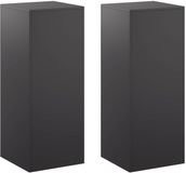 vidaXL Plantenstandaard 2 stuks Zwart 40 x 40 x 100 cm Staal