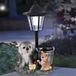 Ronte - Chien de jardin solaire, décoratif, résine imperméable, noir/gris/orange