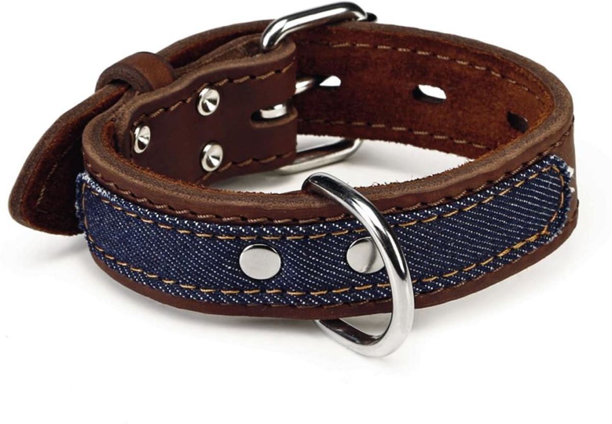 Beeztees Denim Hondenhalsband - Bruin - XS - 24-33 cm x 35 mm bruin