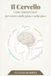 Il cervello: Come sintonizzarsi per vivere nella gioia e nella pace
