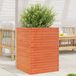 Maison Exclusive - Pot de fleurs pour le jardin, brun foncé, 50x50x68,5 cm, pin massif