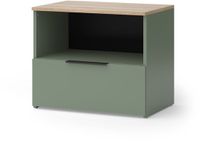 Vicco Wido Sideboard – 60 x 50 cm met klep Groen