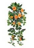 Kunstrozenhanger, 74 cm, rozenrank, rozenboog, rozenslinger, kunstbloem, hangende bruiloftsboog, romantische decoratie, bloemenkrank, bruiloftsdecoratie, hangbloemenkrank, oranje