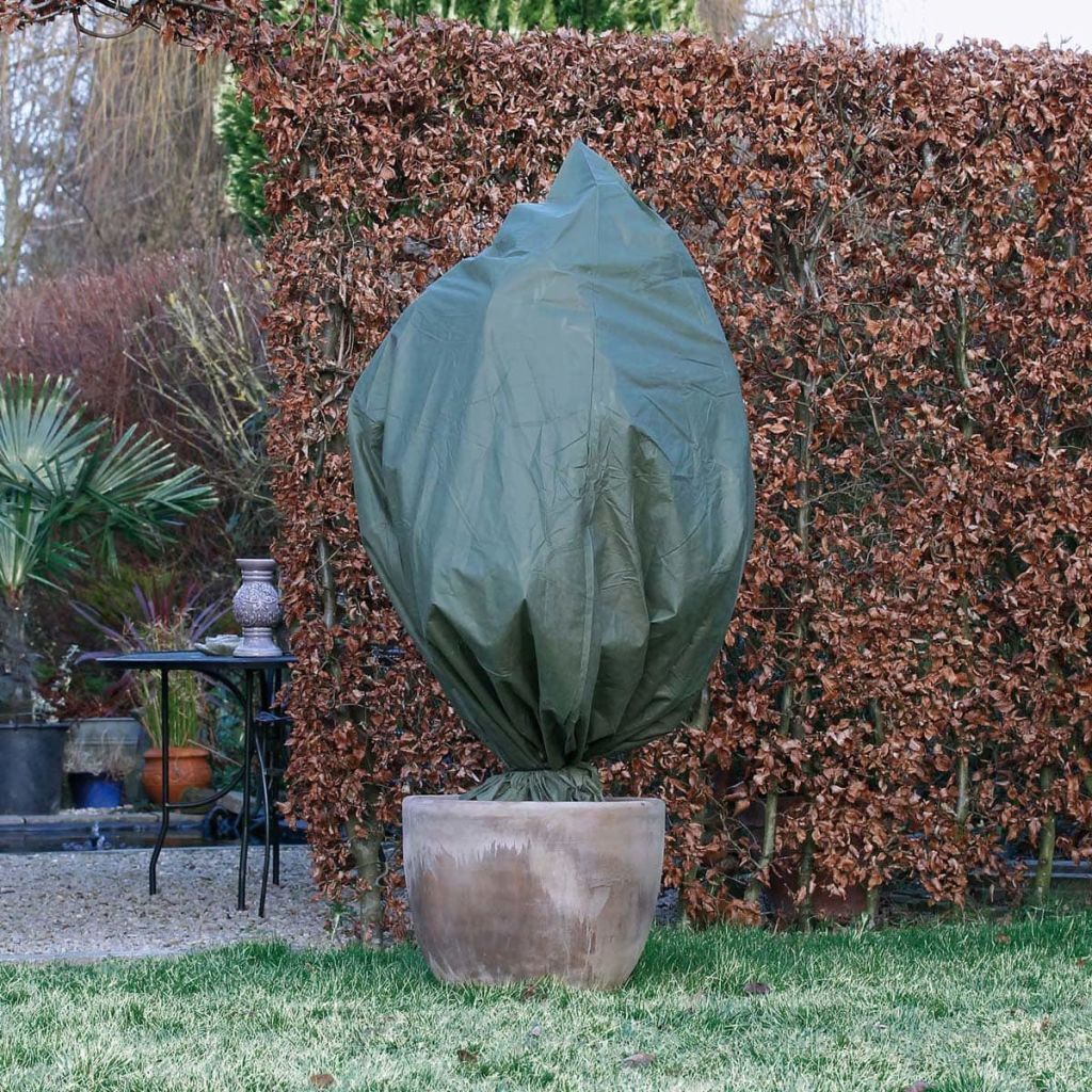 Nature - Wintertuin - Beschermhoes - Voor planten en struiken met rits - Groen - Diameter 250cm x Hoogte 3m