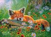 Castorland Foxy Dreams Puzzle - 100 pièces