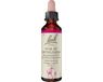 Bach Original Bach-Blüten Nr. 29 Star of Bethlehem Doldiger Milchstern Tropfen, 20 ml