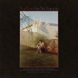 Konkurrent Fruit Bats - The Pet Parade (CD)