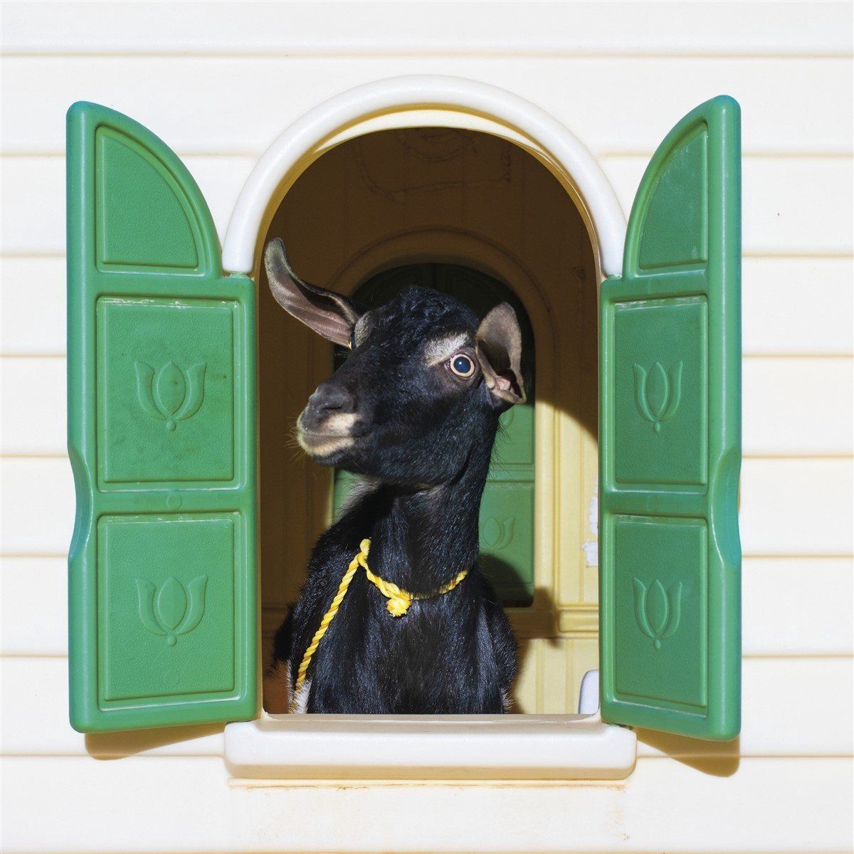 Konkurrent Wild Loneliness (LP)