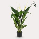 Green Boutiq Kunstplant - Spathiphyllum - Lepelplant - 90cm - Wit