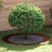 Maison Exclusive - Bague d'arbre rouille 90/120 cm