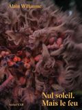 Nul soleil. Mais le feu
