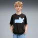 PUMA Functioneel shirt blauw / zwart / wit