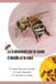 Le Traitement Par le venin d'abeille et le miel: l’apithérapie