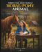 Write the Next Great Horse/Pony/Animal Story: Step-by-Step Creative Writing Workbook Guide for Teens, Grades 7 - 9, ages 12 - 14
