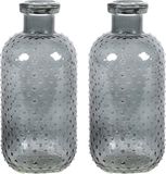 Countryfield Bloemenvaas Cactus Dots - 2x - donkergrijs transparant - glas - D11 x H24 cm
