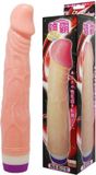ELAVIA B. BĄK I M. FIUK SPÓŁKA KOMANDYTOWA Vibe Flesh 22 cm
