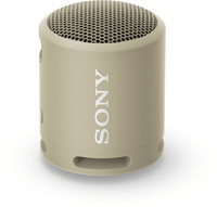 Sony SRSXB13 grijs