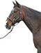 HKM Diamond Lederen Halster Zwart Pony