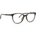 Dolce & Gabbana Dg 3425 Lunettes de vue femme havane rondes 52mm