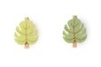 Excelsa Gebladerte Pack van zes Pegs Clips, Hout, Groen, 6 Stuks